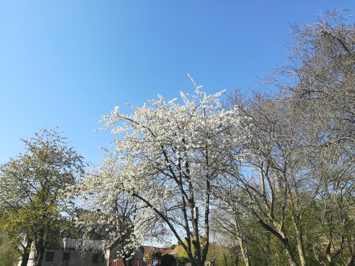 B&B De Dubbelmolen Tongeren Luaran gambar