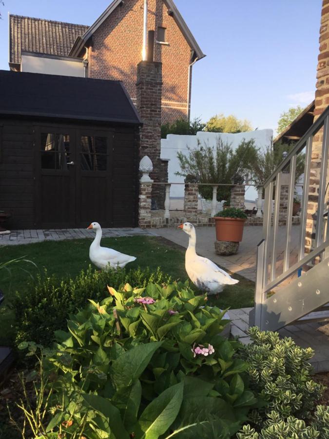 B&B De Dubbelmolen Tongeren Luaran gambar